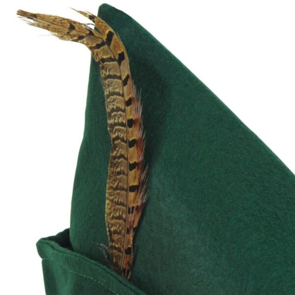 Beistle 60342 Felt Robin Hood Hat, One Size, Multicolor - Image 2