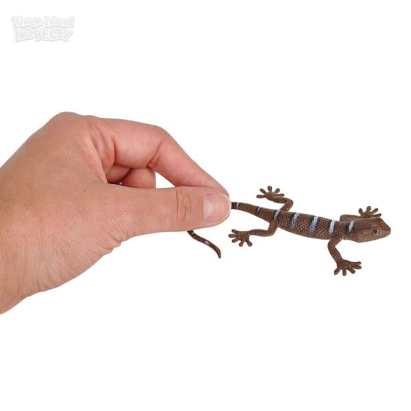 Rhode Island Novelty 5.5" Lizards - Image 4