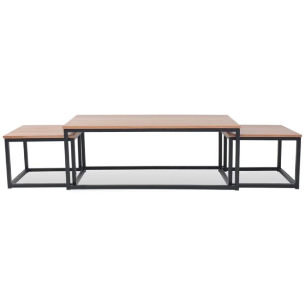 vidaXL Coffee Table Set 3 Pieces Ash - Image 3